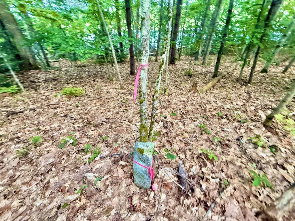 66 Nickerson Lane Rome ME 04963