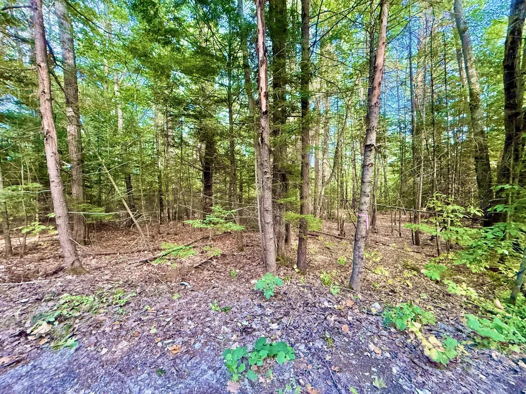 66 Nickerson Lane Rome ME 04963