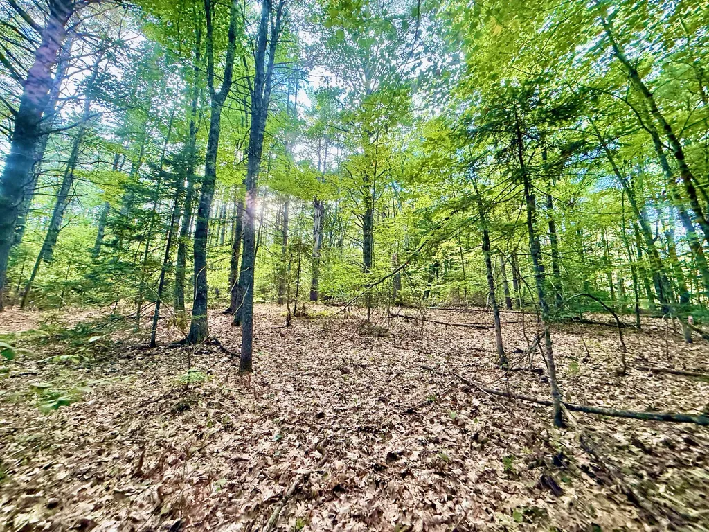 66 Nickerson Lane Rome ME 04963