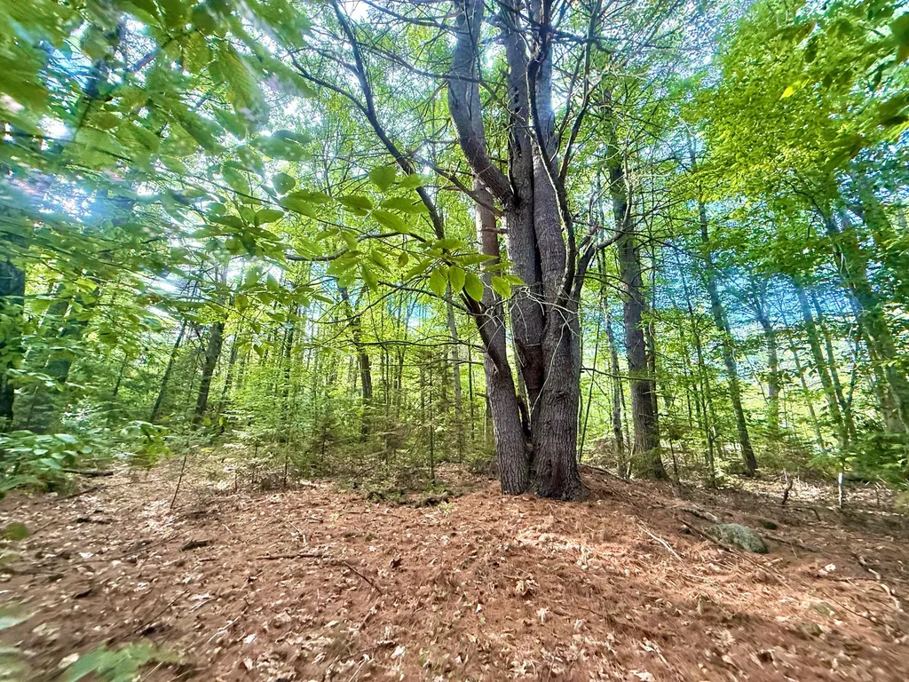 66 Nickerson Lane Rome ME 04963