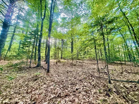 66 Nickerson Lane Rome ME 04963