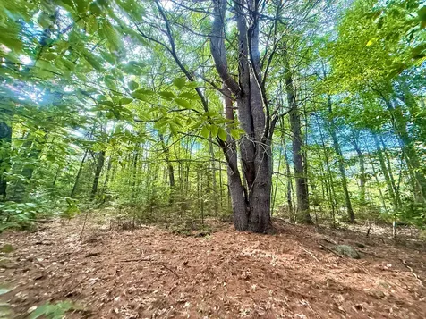 66 Nickerson Lane Rome ME 04963