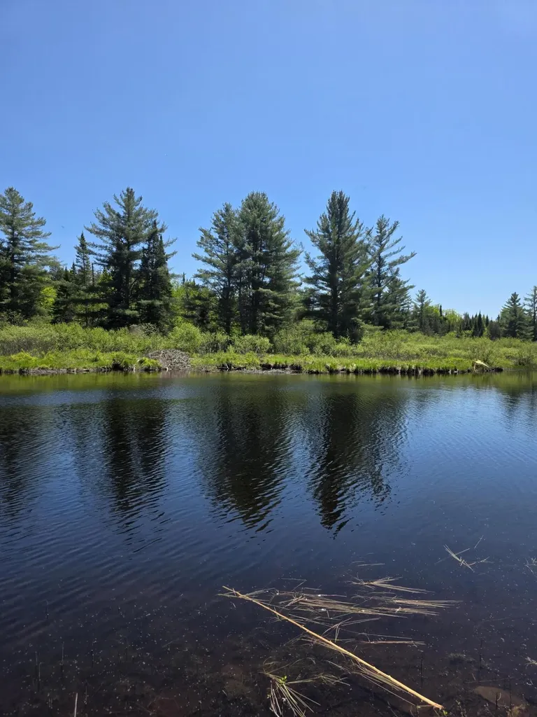 P 8 L 4 Prescott Pond Road Moxie Gore ME 04985