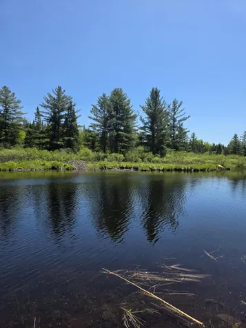 P 8 L 4 Prescott Pond Road Moxie Gore ME 04985