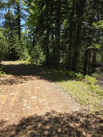 P 8 L 4 Prescott Pond Road Moxie Gore ME 04985
