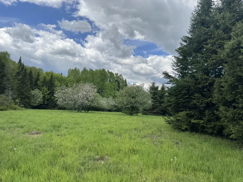 328 Clark Road Merrill ME 04780
