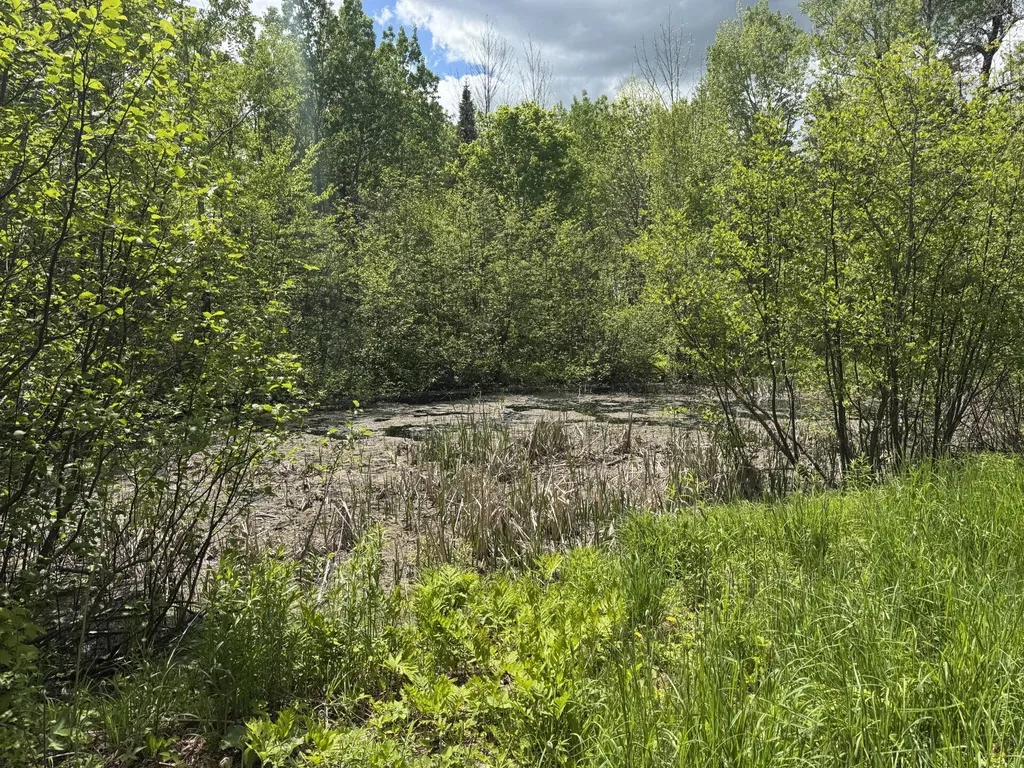 328 Clark Road Merrill ME 04780