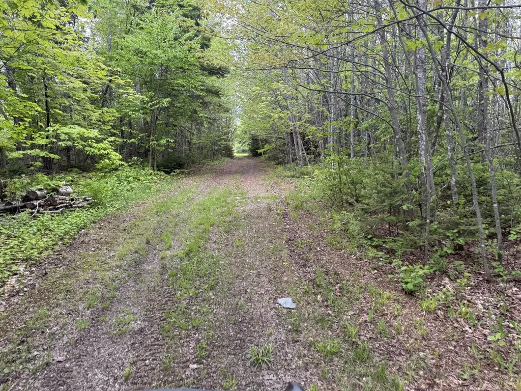 328 Clark Road Merrill ME 04780