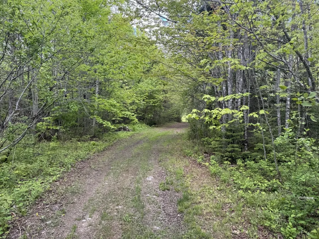 328 Clark Road Merrill ME 04780