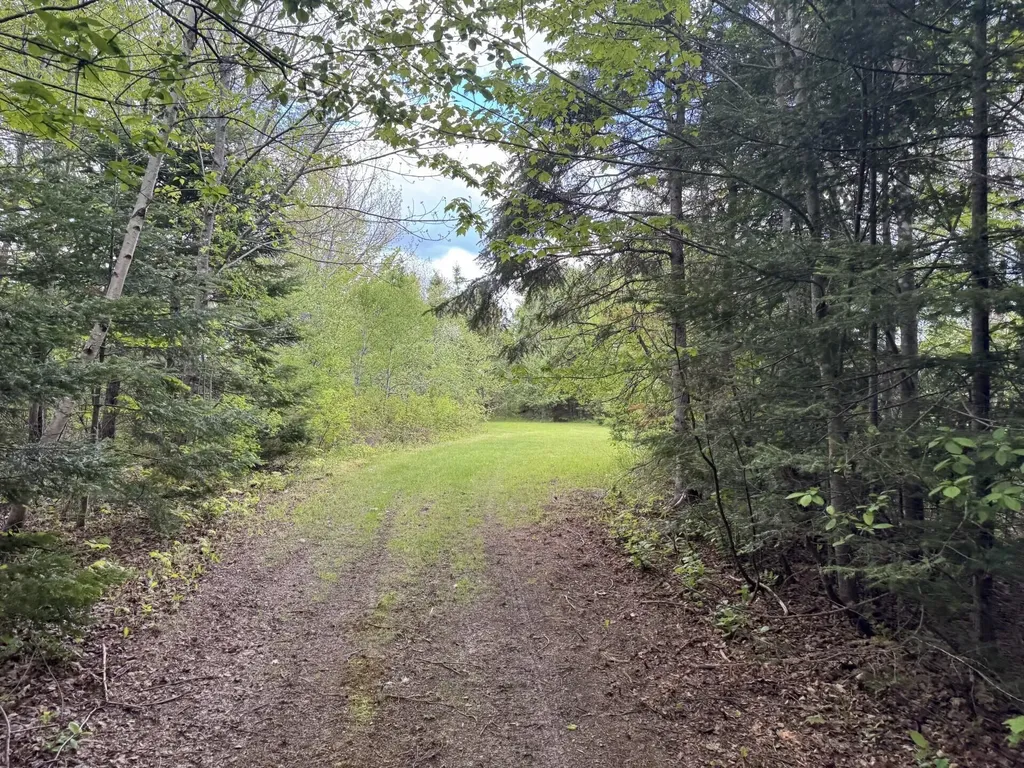 328 Clark Road Merrill ME 04780