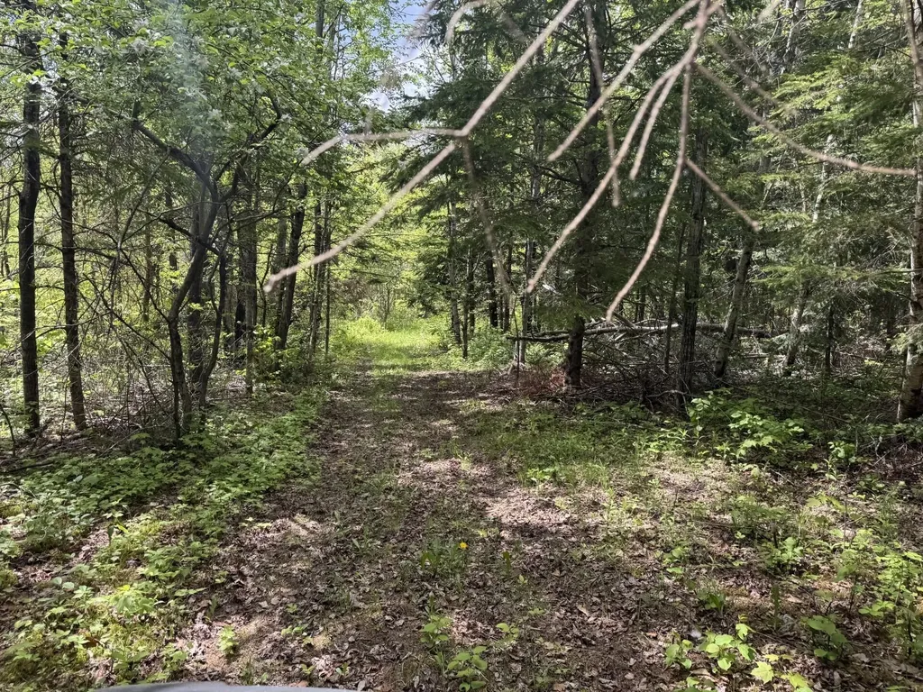 328 Clark Road Merrill ME 04780