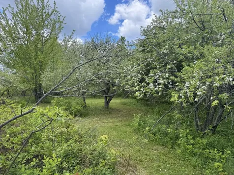 328 Clark Road Merrill ME 04780
