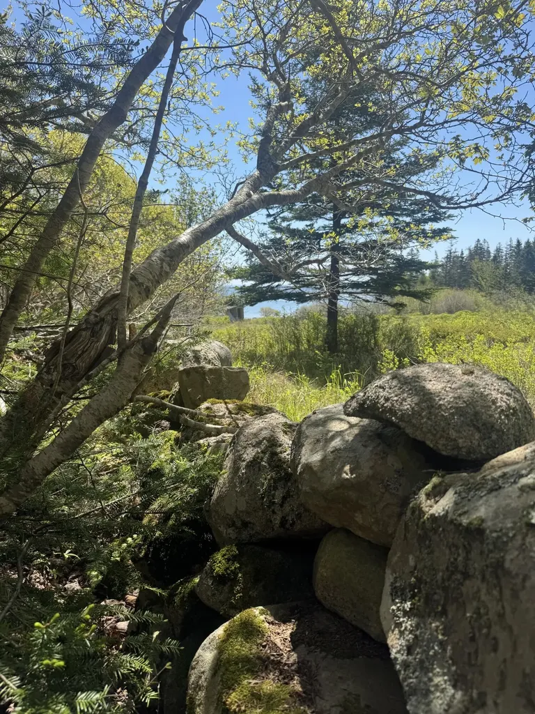 Lot #5 George Wright Road Vinalhaven ME 04863