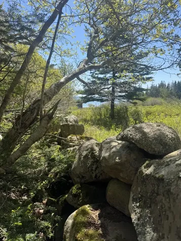 Lot #5 George Wright Road Vinalhaven ME 04863