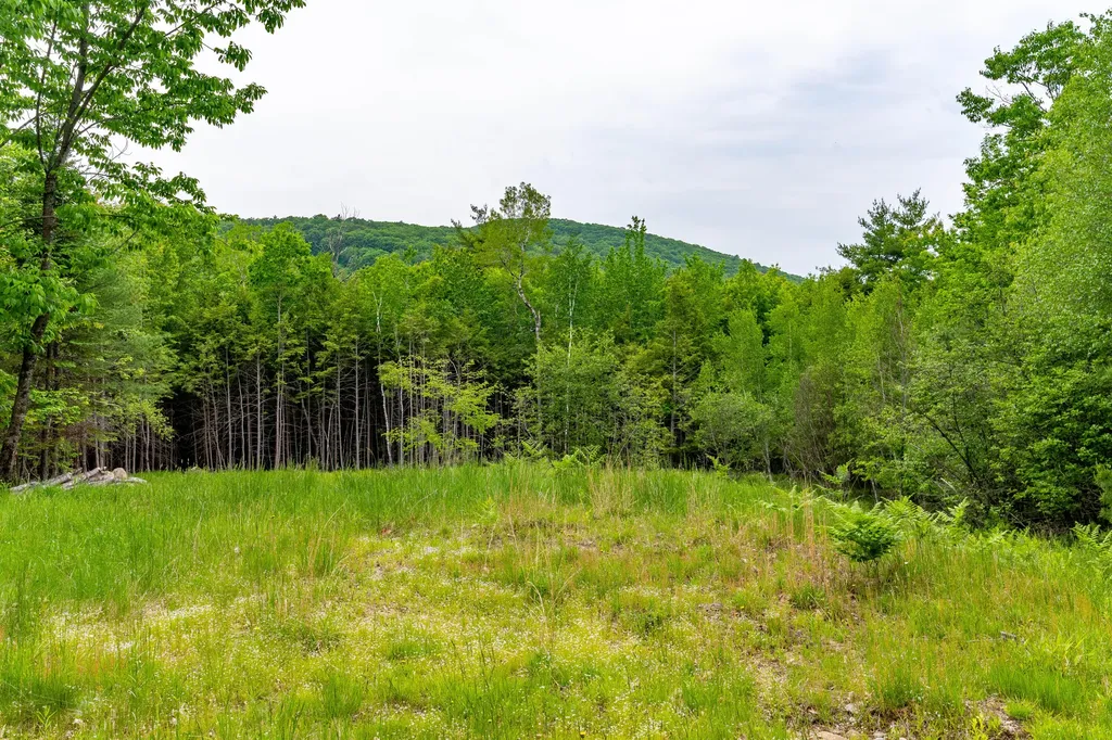 R09-0051+B Richardson Road Hiram ME 04041
