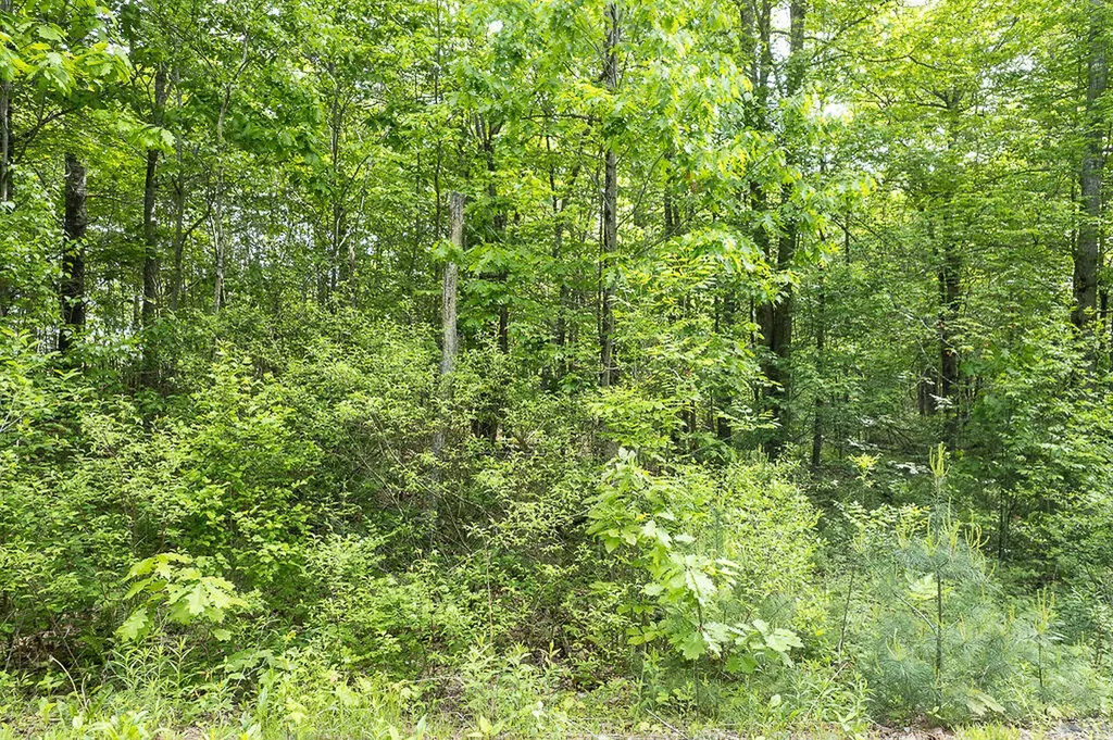 1171 Plains Road Litchfield ME 04350