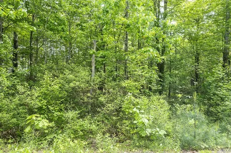 1171 Plains Road Litchfield ME 04350