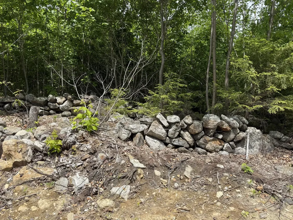 Lot 12 Deering Ridge Road Shapleigh ME 04076