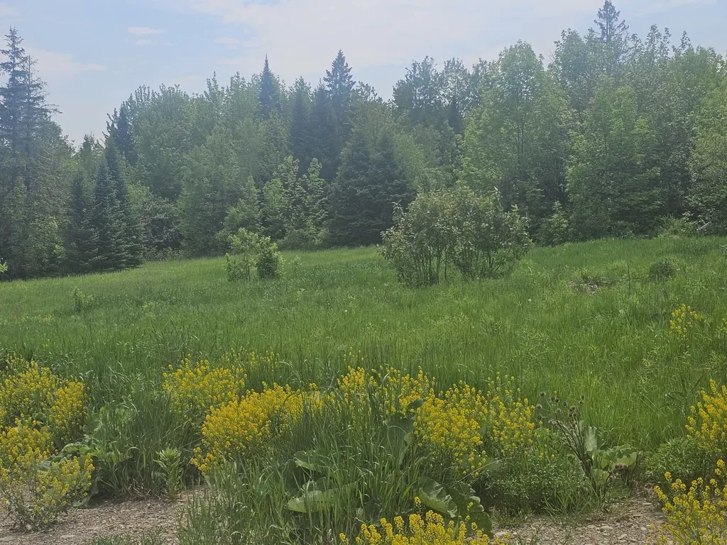 285 Retreat Road Hersey ME 04765