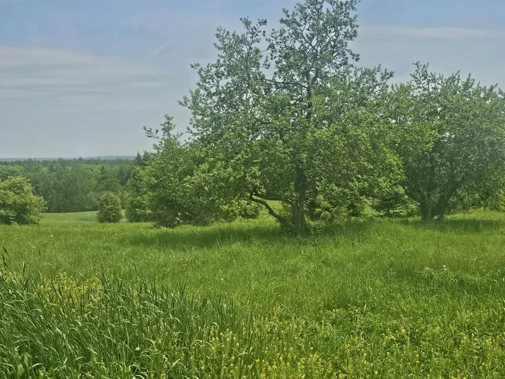 285 Retreat Road Hersey ME 04765