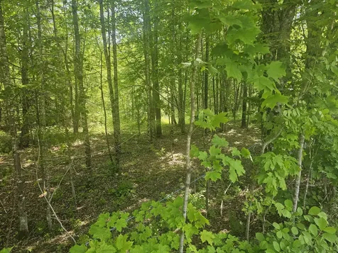 285 Retreat Road Hersey ME 04765