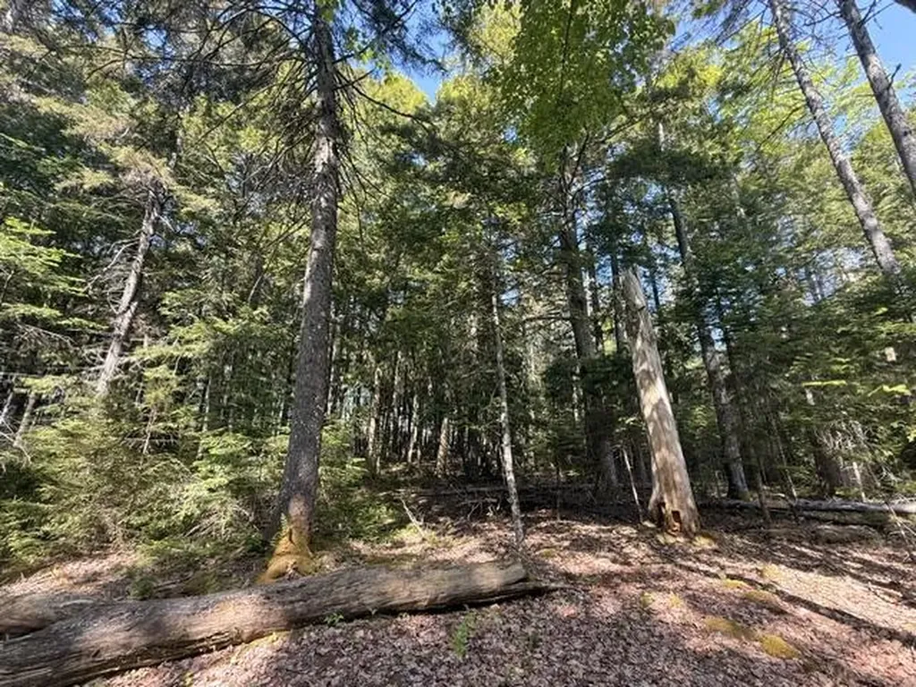 Lot #17 Sunset Cove Way Orland ME 04472