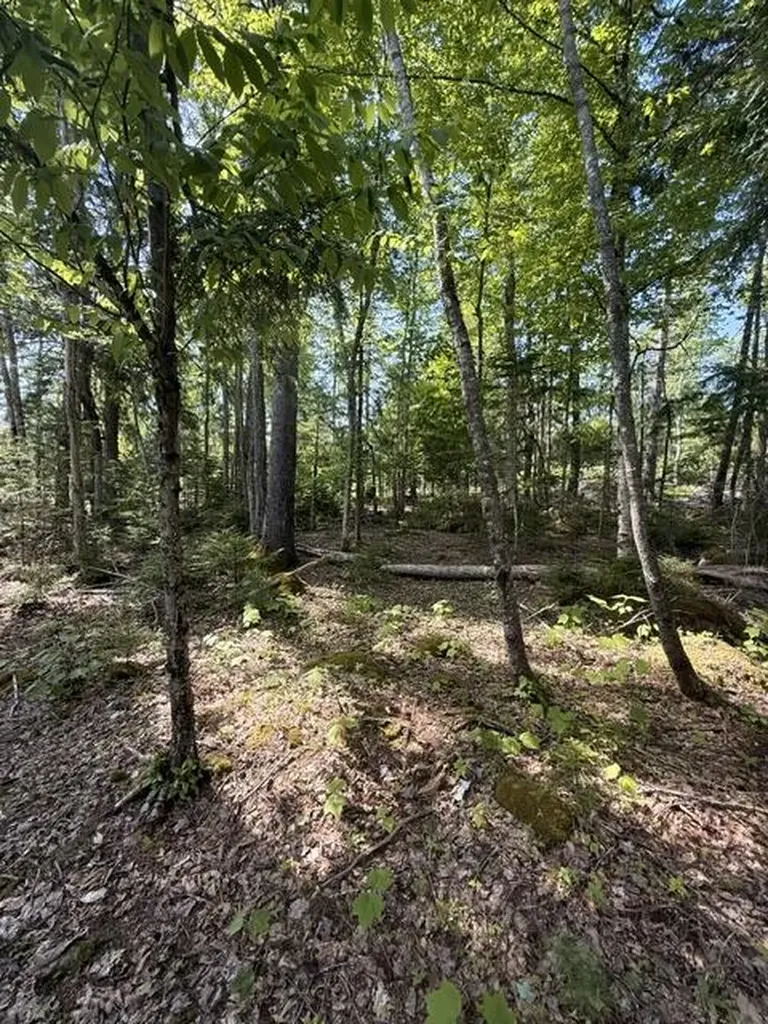 Lot #17 Sunset Cove Way Orland ME 04472