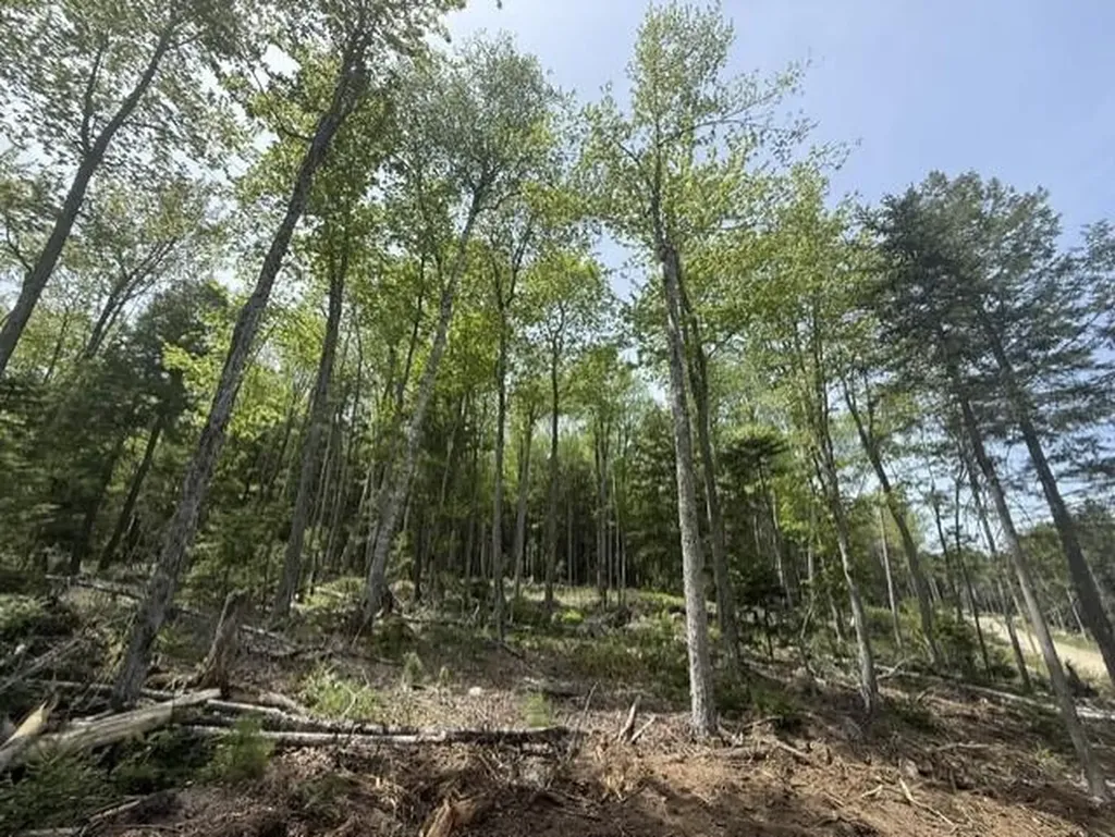Lot #17 Sunset Cove Way Orland ME 04472