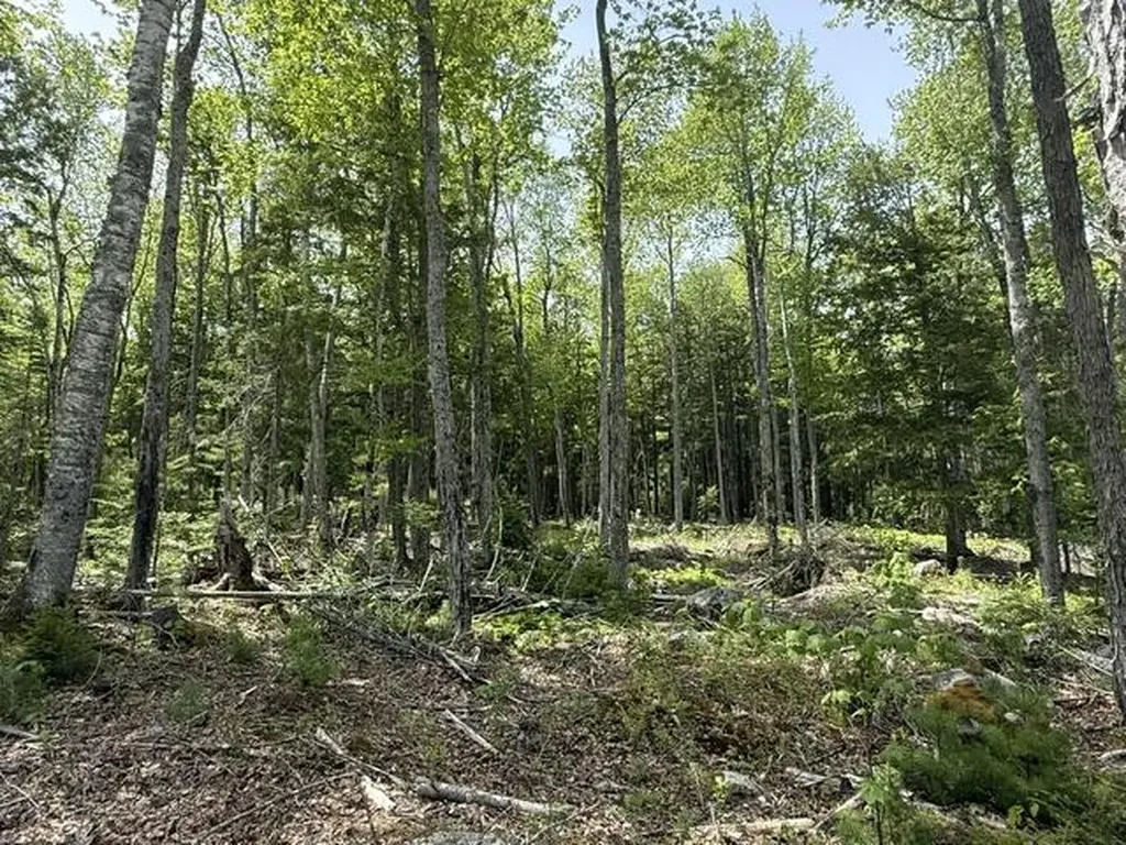Lot #17 Sunset Cove Way Orland ME 04472