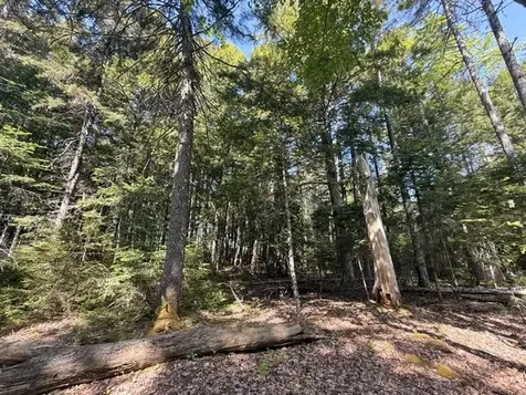 Lot #17 Sunset Cove Way Orland ME 04472
