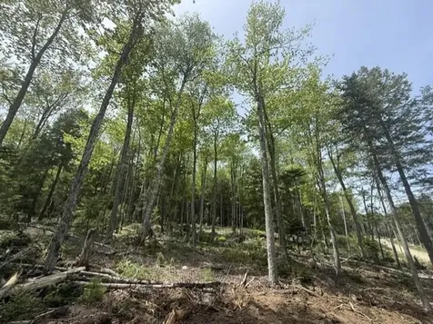 Lot #17 Sunset Cove Way Orland ME 04472