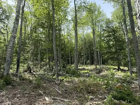 Lot #17 Sunset Cove Way Orland ME 04472