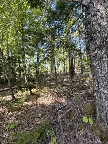 Lot #17 Sunset Cove Way Orland ME 04472