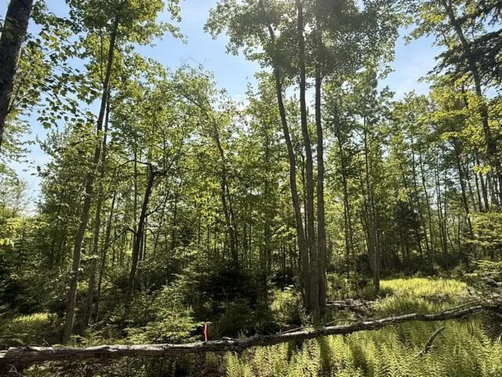 Lot #16 Sunset Cove Way Orland ME 04472