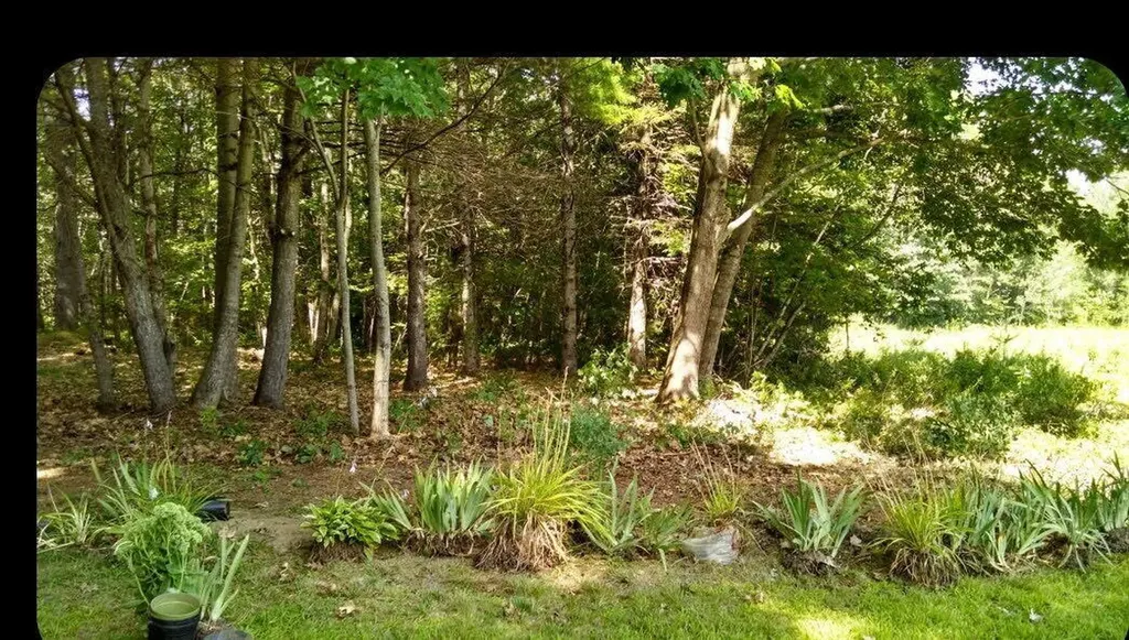 20 Rowdy Lane Burnham ME 04922
