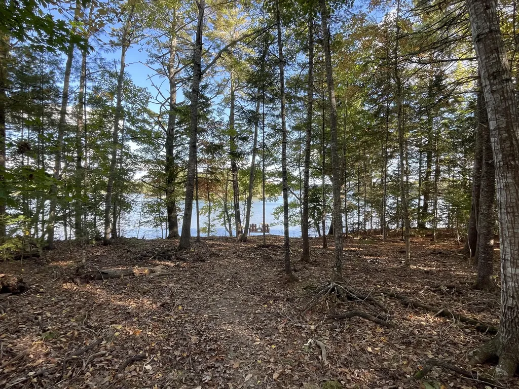 42 Dwelly Point Road Franklin ME 04634