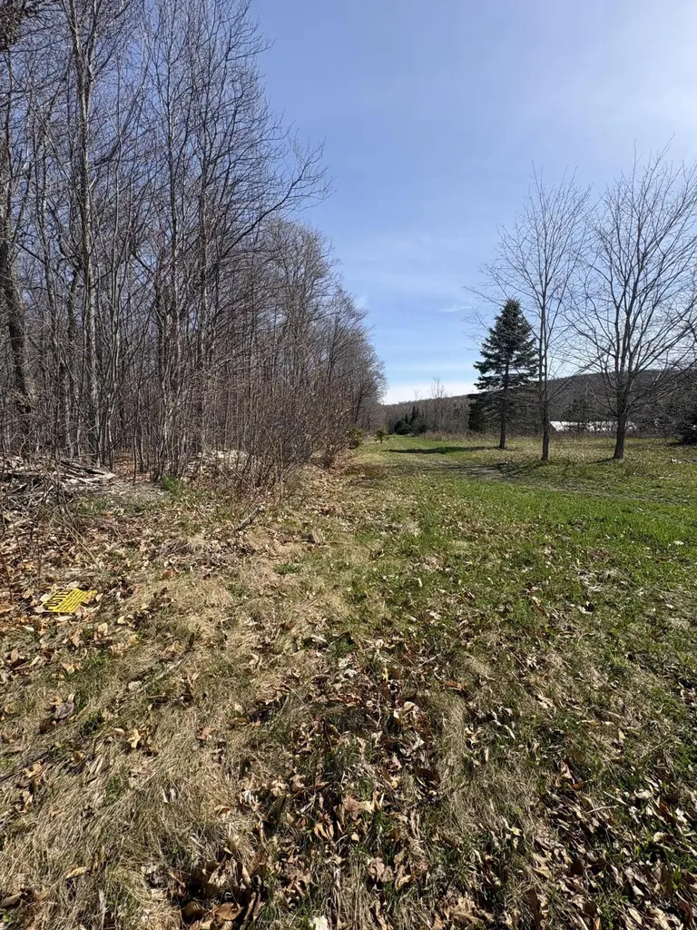 Lot 12 Off Conant (end Of Johnson Road) Road Fort Fairfield ME 04742