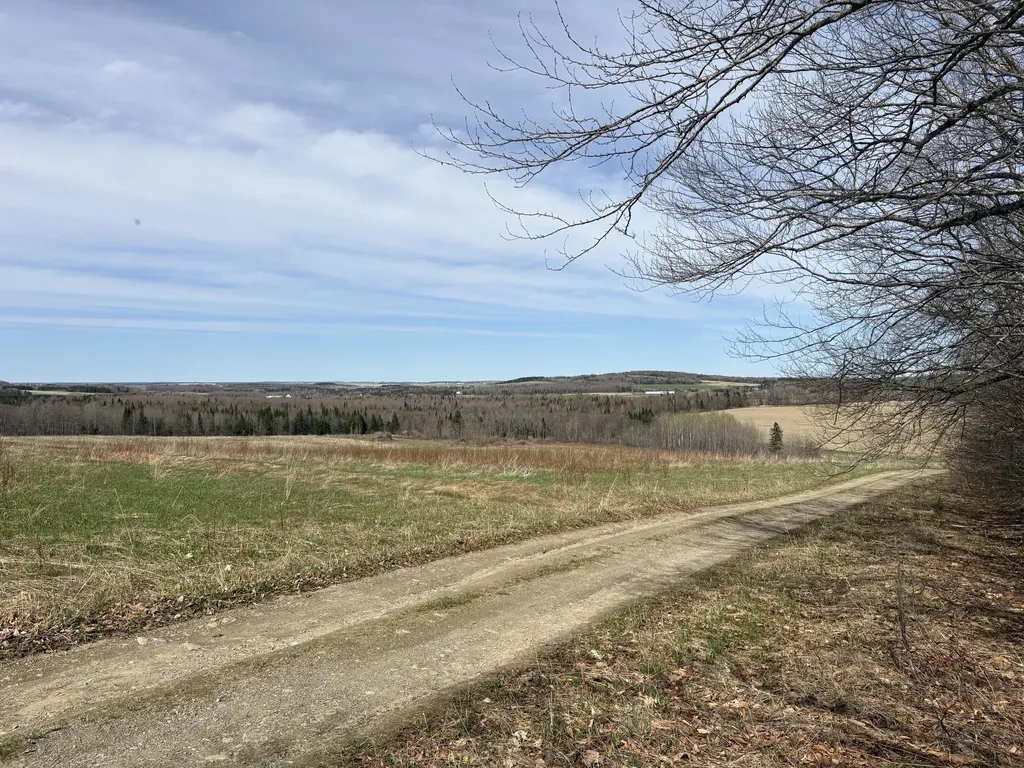 Lot 12 Off Conant (end Of Johnson Road) Road Fort Fairfield ME 04742