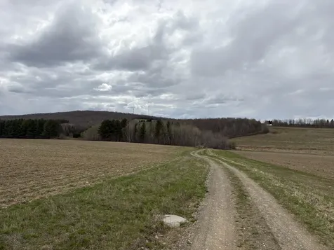 Lot 12 Off Conant (end Of Johnson Road) Road Fort Fairfield ME 04742