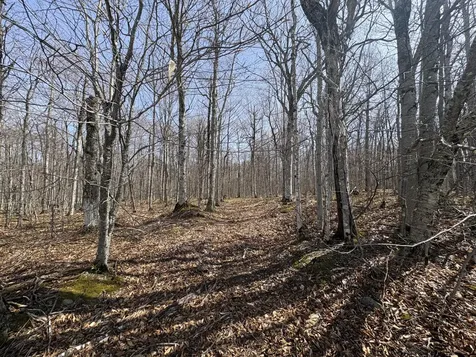 Lot 12 Off Conant (end Of Johnson Road) Road Fort Fairfield ME 04742