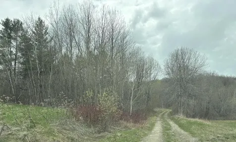 Lot 12 Off Conant (end Of Johnson Road) Road Fort Fairfield ME 04742