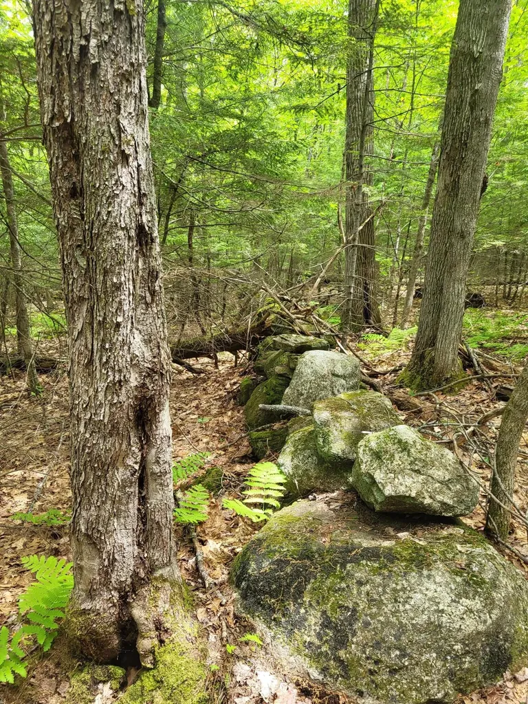 159 Pikes Hill Road Norway ME 04268