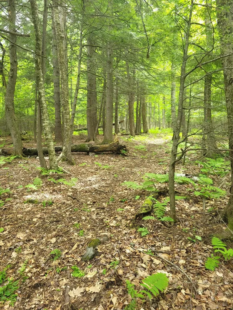 159 Pikes Hill Road Norway ME 04268