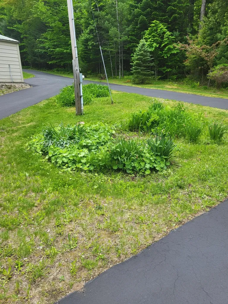159 Pikes Hill Road Norway ME 04268