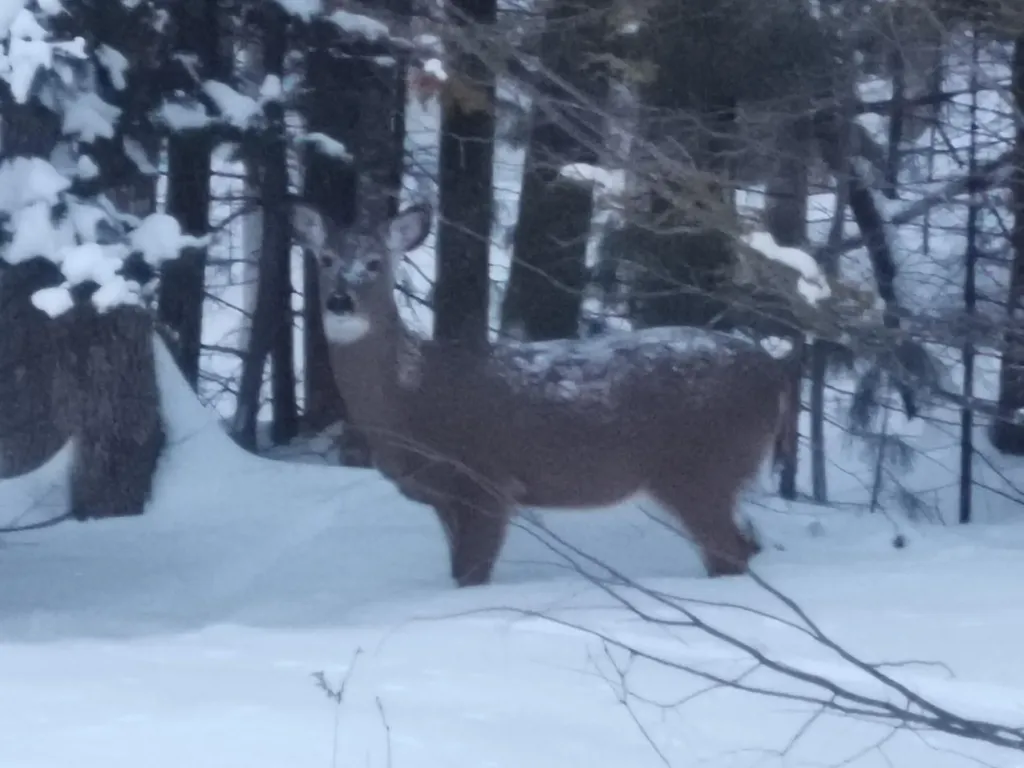 159 Pikes Hill Road Norway ME 04268