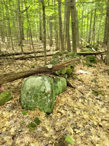 159 Pikes Hill Road Norway ME 04268