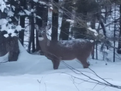159 Pikes Hill Road Norway ME 04268