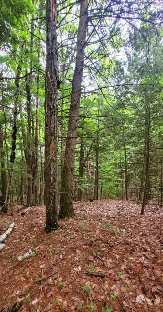 L14-001 Hummingbird Hill Road Greene ME 04236