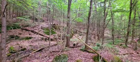 L14-001 Hummingbird Hill Road Greene ME 04236