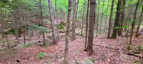 L14-001 Hummingbird Hill Road Greene ME 04236